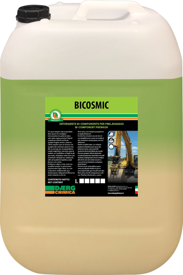 Bicosmic
